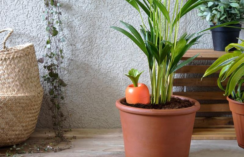 Peleg Design’s Carrot-Shaped Self-Watering Container