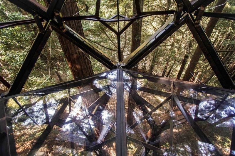 Treehouse, treehouse rental, Treehouse hotel, Pinecone Treehouse, O2 Treehouse, Dustin Feider, treehouse rental in California, treehouse in California, 