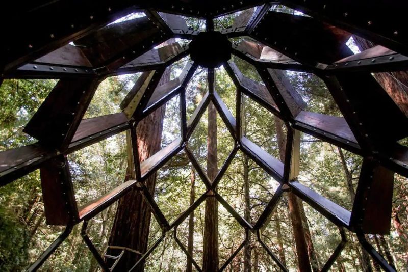 Treehouse, treehouse rental, Treehouse hotel, Pinecone Treehouse, O2 Treehouse, Dustin Feider, treehouse rental in California, treehouse in California, 