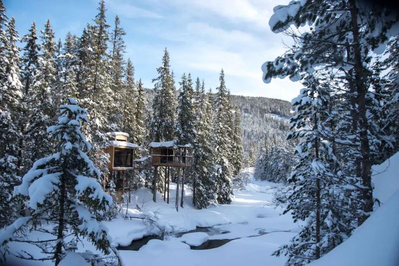 River Eye Treehouse in Norway is Ideal Weekend Getaway for Large Families - Airbnb Rental