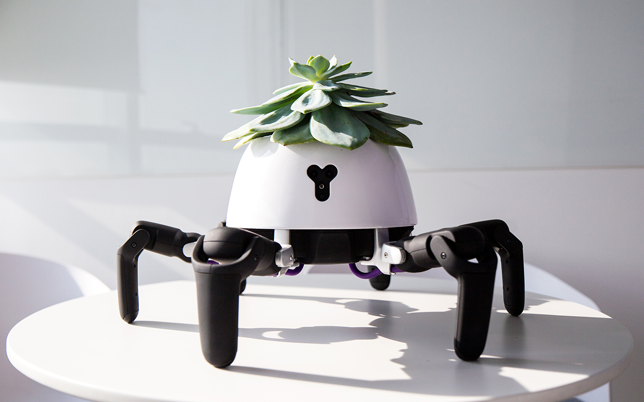 Vincross Hexa Robot Planter Chases Sun When It Needs