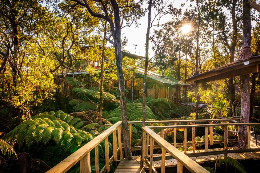 You can Rent Volcano Treehouse in Hawaii for 350 (Pictures)