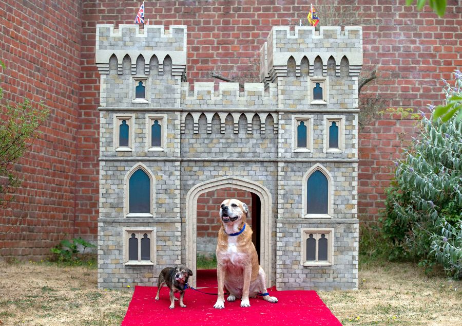 Windsor Castle dog house by Susan Crossland