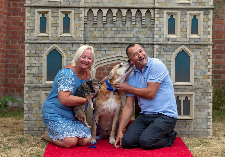 Windsor Castle dog house by Susan Crossland