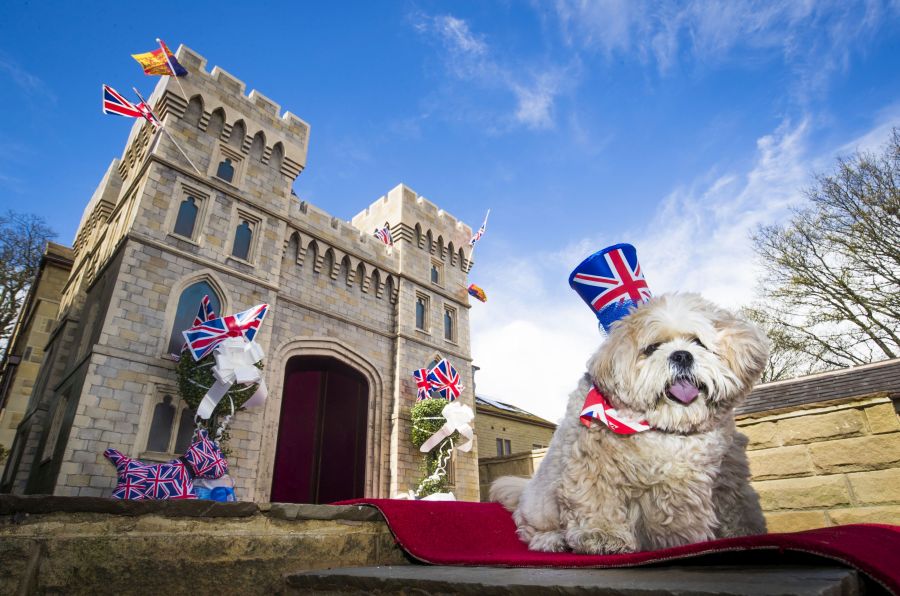 Windsor Castle dog house by Susan Crossland