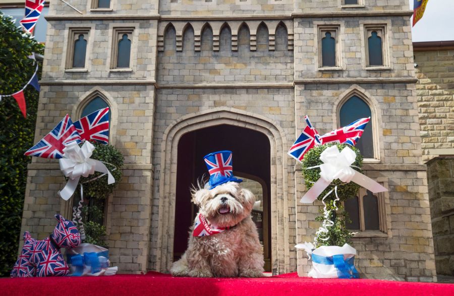 Windsor Castle dog house by Susan Crossland