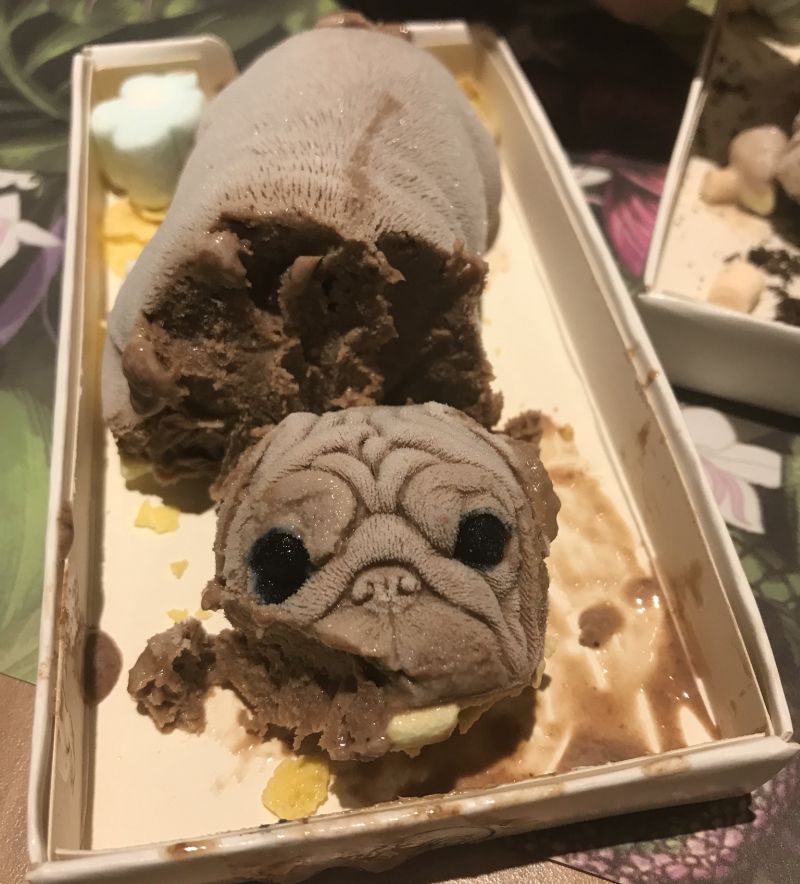 Would You Eat a Dog-Shaped Ice Cream?