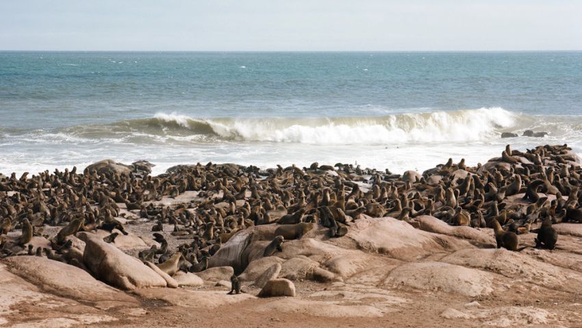 shipwreck lodge on skeleton coast