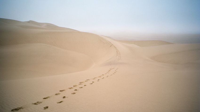 shipwreck lodge on skeleton coast