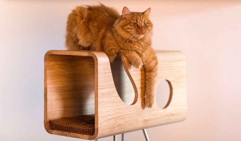 Cat60 Wood Cat Bed by Brando Design