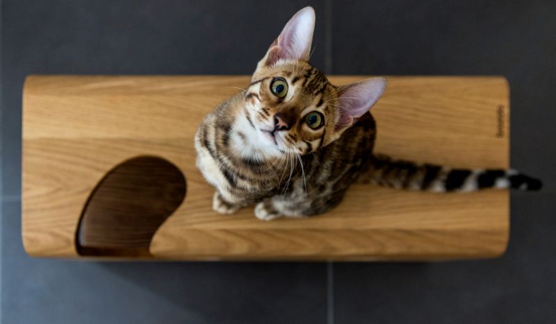 Cat60 Wood Cat Bed by Brando Design