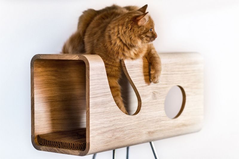 Cat60 Wood Cat Bed by Brando Design