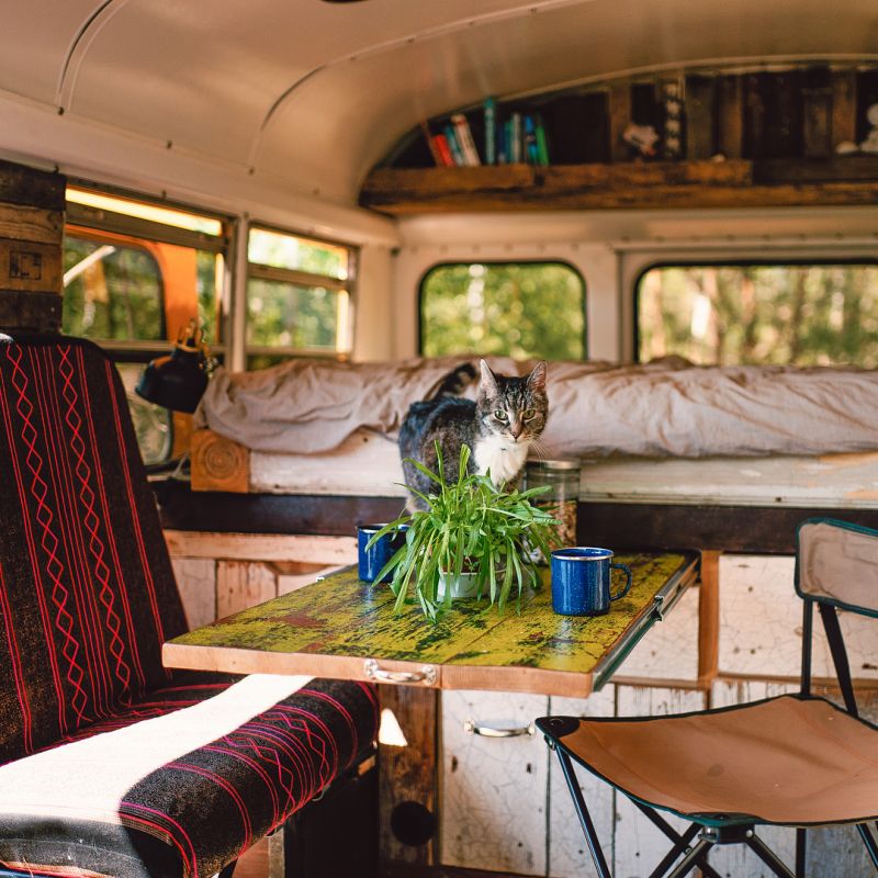 Couple Converts 1993 GMC School Bus into Tiny House