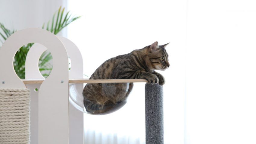 Tuft + Paw Milo Cat Tower