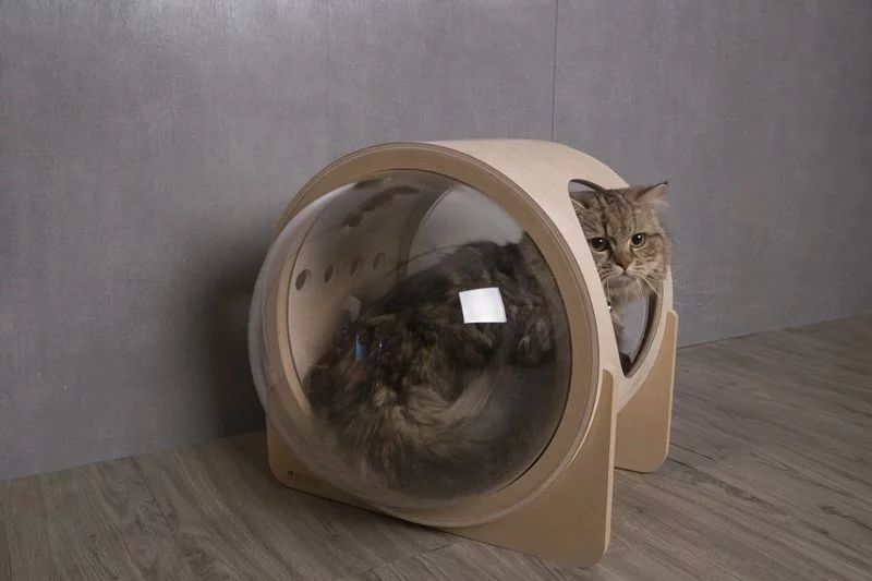 Myzoo Studio’s Spaceship-Inspired Cat Beds 