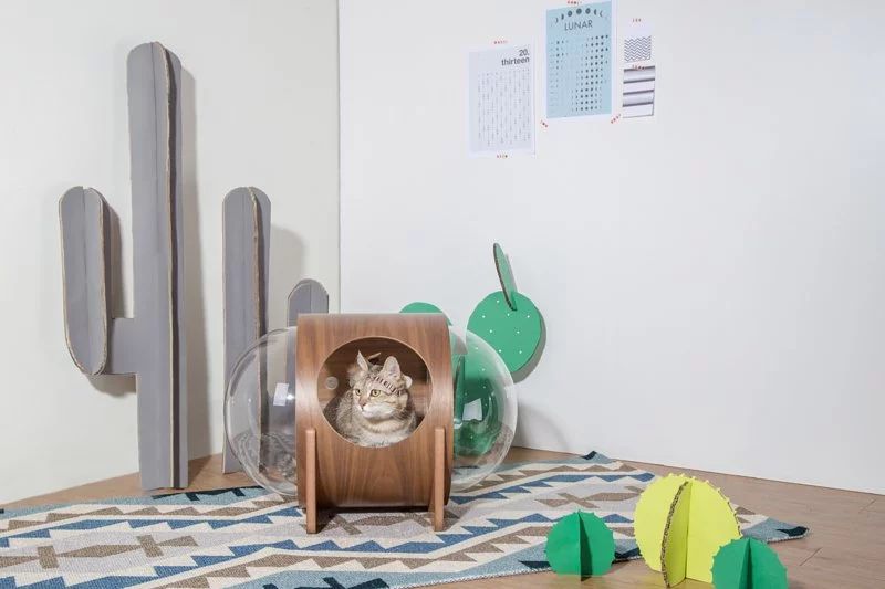 Myzoo Studio’s Spaceship-Inspired Cat Beds 