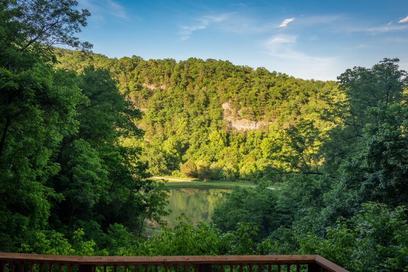 This Cave House in Arkansas can be Rented for $1,600 Per Night