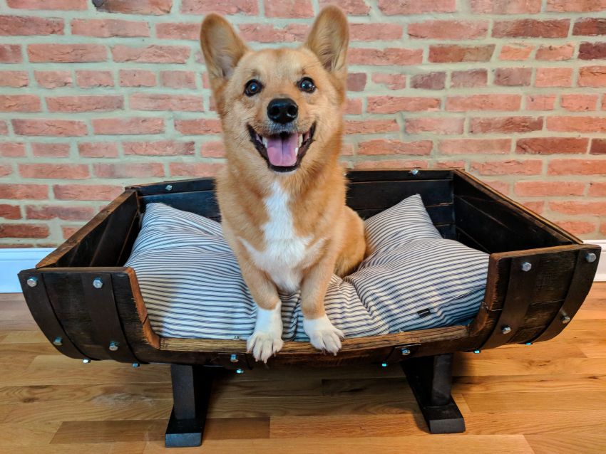 DIY Old Whiskey Barrel into Comfy Dog Bed