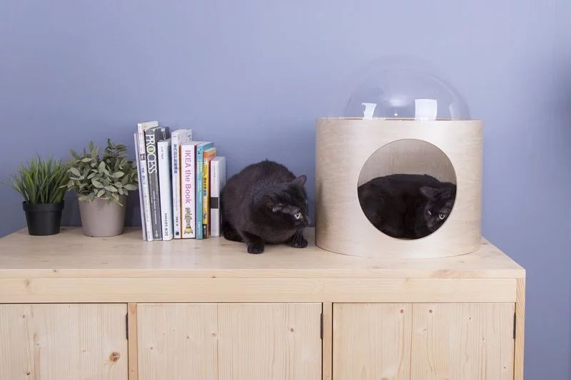 Myzoo Studio’s Spaceship-Inspired Cat Beds 