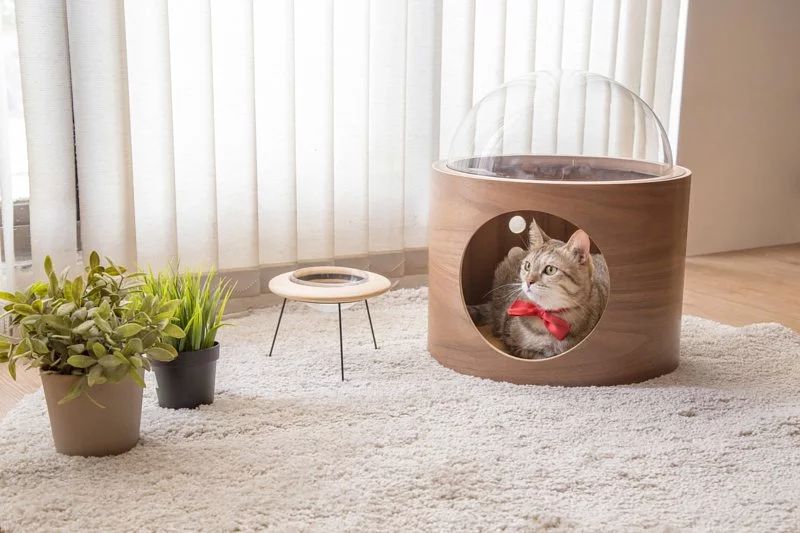 Myzoo Studio’s Spaceship-Inspired Cat Beds 