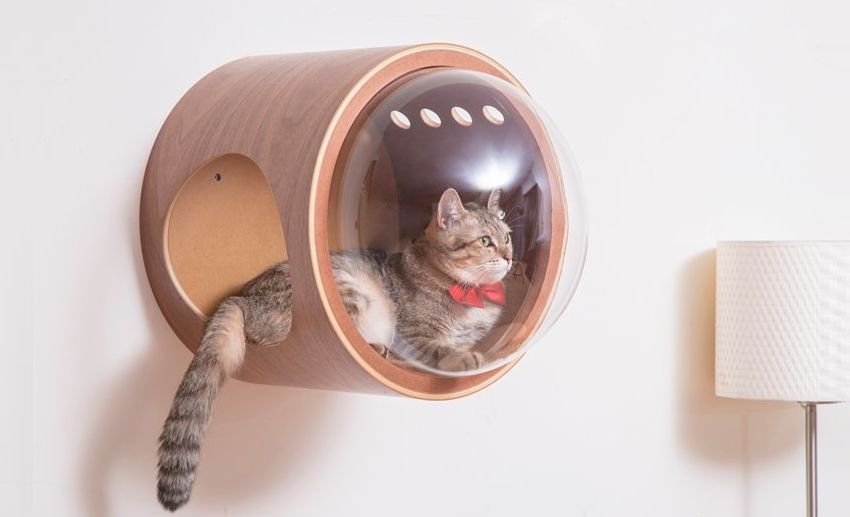 Myzoo Studio Spaceship-Inspired Cat Beds - Pet Furniture
