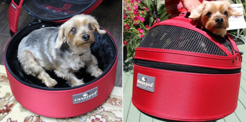 Sleepypod Pet Carrier