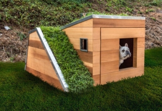 Studio Schicketanz Dog House Features Green Roof, Automated Faucet
