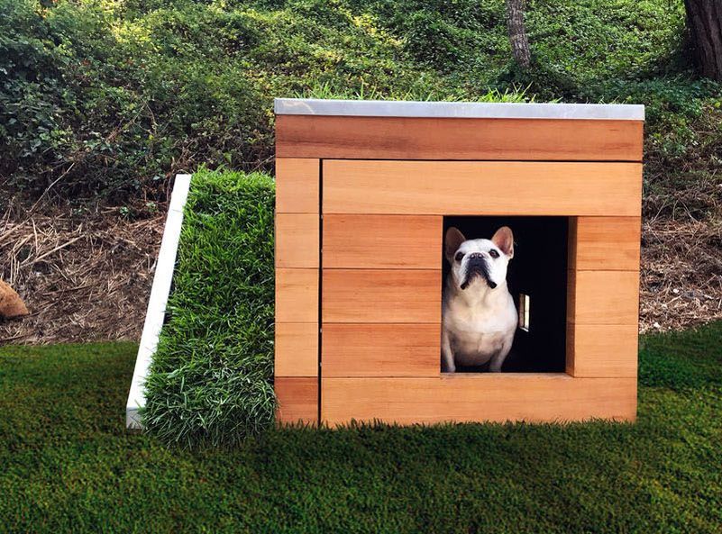 Studio Schicketanz Dog House Features Green Roof, Automated Faucet