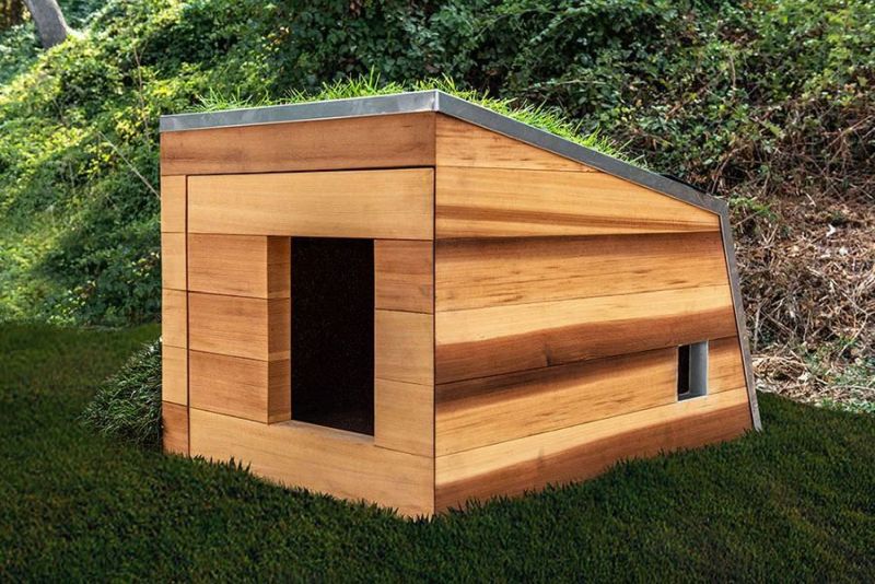 Studio Schicketanz Dog House Features Green Roof, Automated Faucet