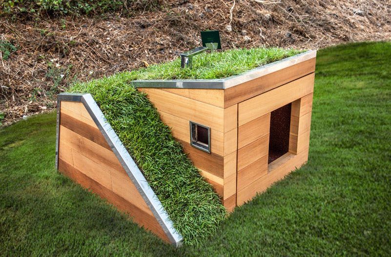 Studio Schicketanz Dog House Features Green Roof, Automated Faucet