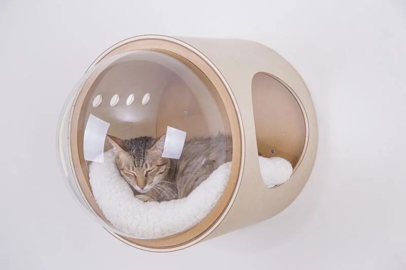 Myzoo Studio’s Spaceship-Inspired Cat Beds 