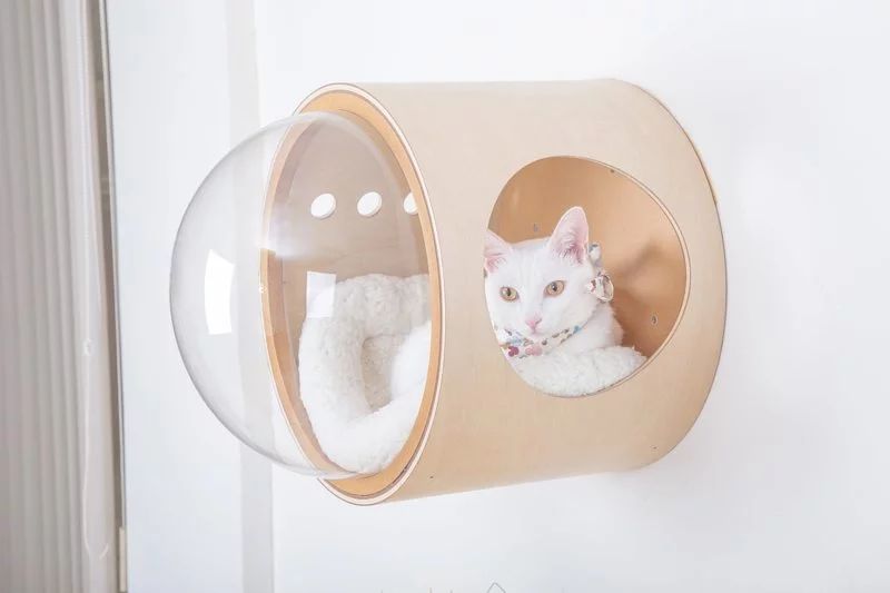 Myzoo Studio’s Spaceship-Inspired Cat Beds 