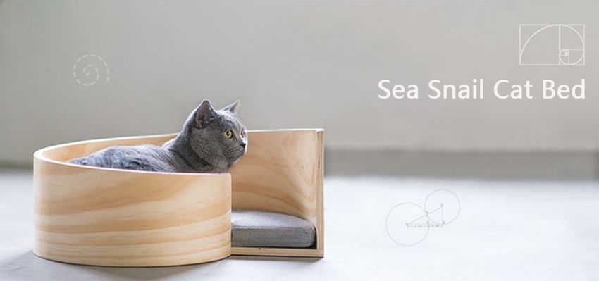 pidan-sea-snail-cat-bed