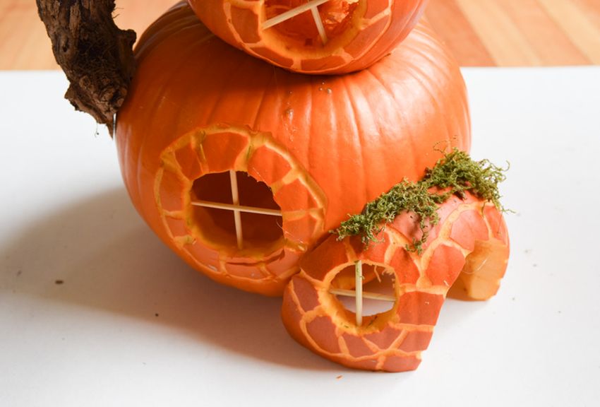 DIY Pumpkin Fairy Garden for Halloween