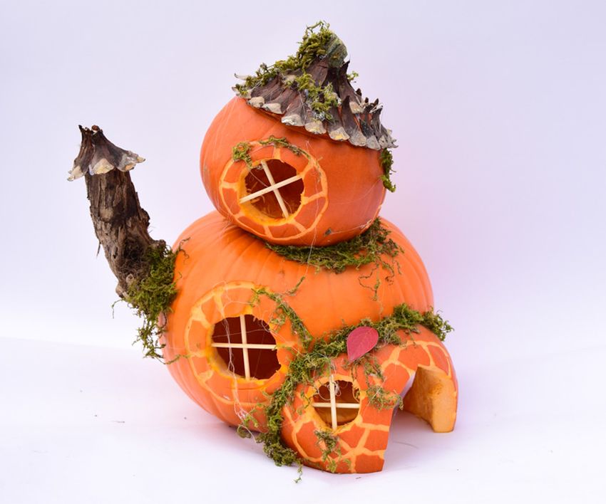 DIY Pumpkin Fairy Garden for Halloween