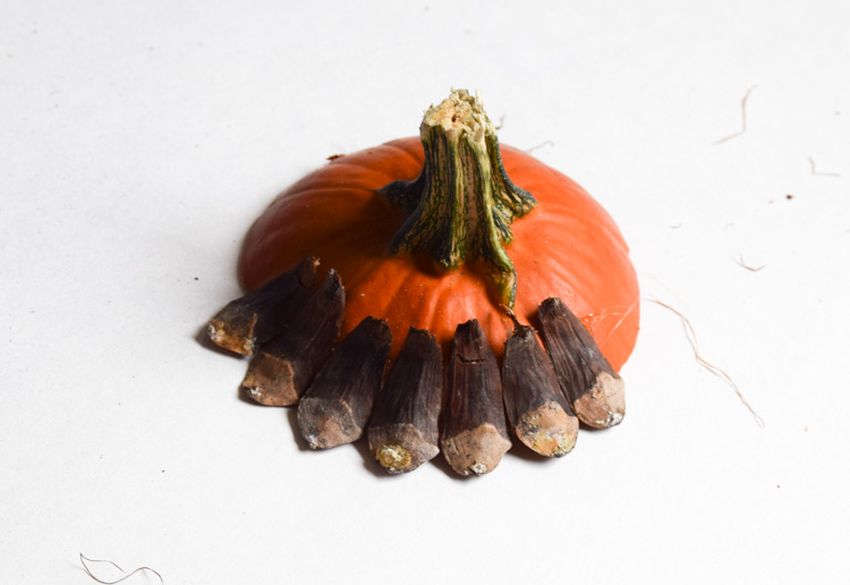 DIY Pumpkin Fairy Garden for Halloween