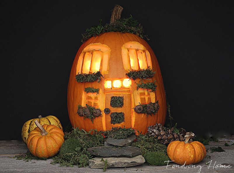 Pumpkin fairy house made using moss, pinecone, stones and lights