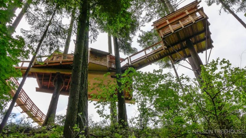 Pete Nelson’s Rustic Treehouse in Oregon Premiers on Treehouse Masters