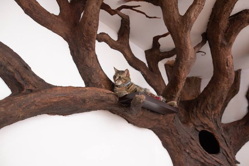 Robert Rogalski Builds Cat Tree Inspired by Tolkien's Ents
