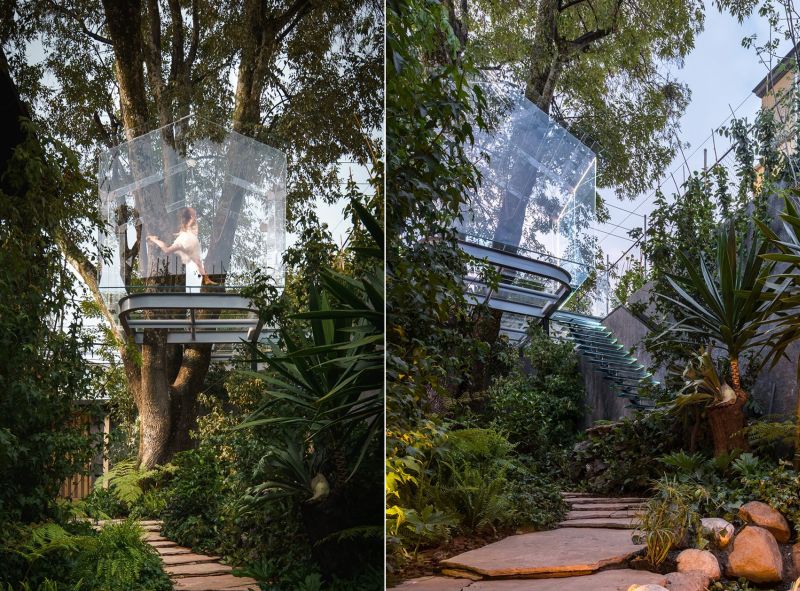 Transparent Treehouse by Gerardo Broissin