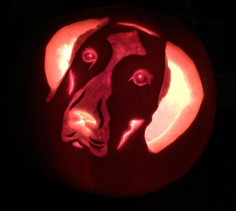 dog o lantern - Dog pumpkin carvings for Halloween 