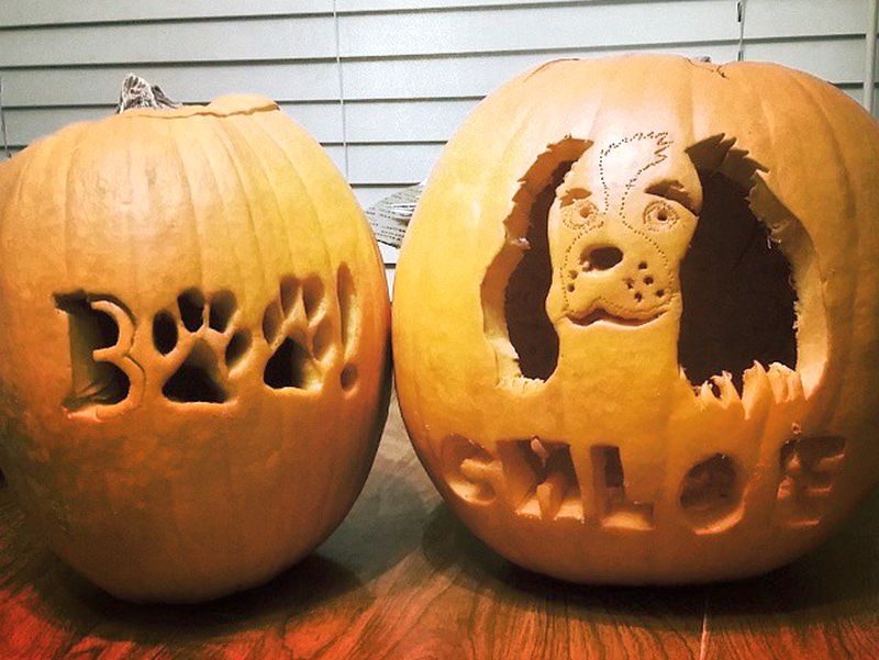 Beginner Dog Pumpkin Carving | peacecommission.kdsg.gov.ng