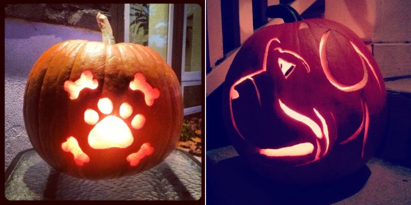 dog o lantern - pumpkin carving ideas