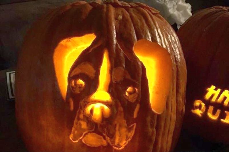 dog o lantern - Dog pumpkin carving ideas for Halloween