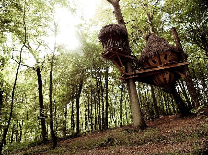 drommen treehouse France-1