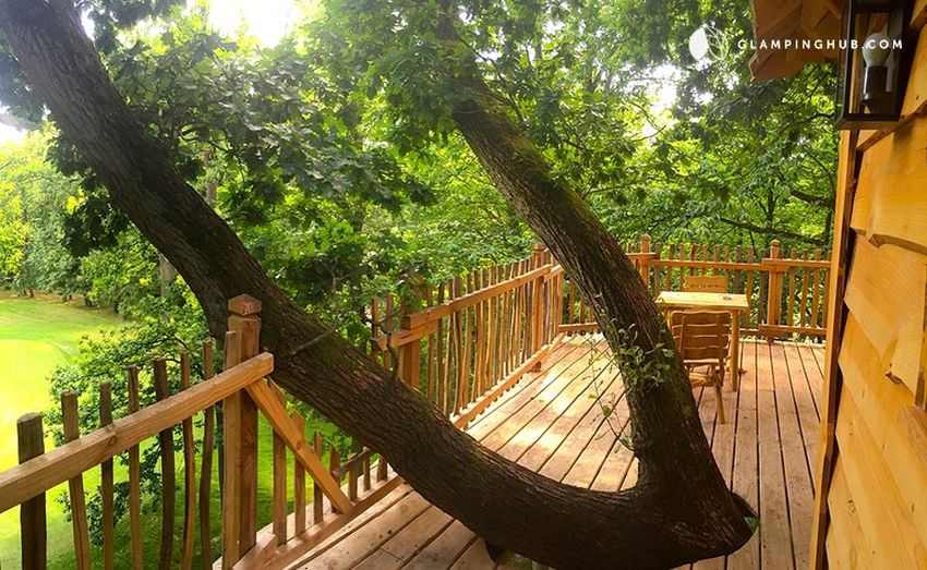 orb-shaped tree house near Senlis Cathedral in Raray, France