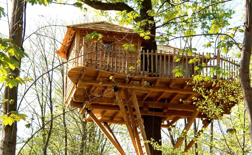 orb-shaped tree house near Senlis Cathedral in Raray, France