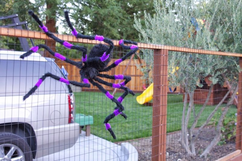 giant spider on the front gate Halloween decoration