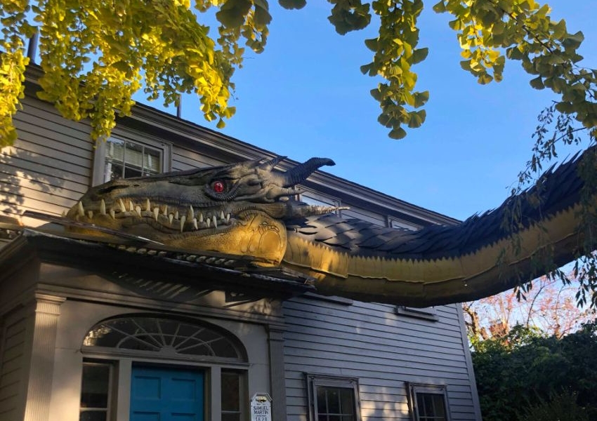 There S A Gigantic Dragon Crawling On This Home Roof There S A Gigantic Dragon Crawling On This Home Roof
