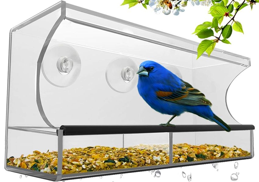 Nature S Hangout Outdoor Window Bird Feeder